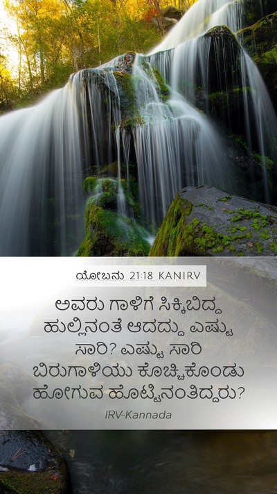 ಯೋಬನು 21:18 KANIRV Bible Verse Image