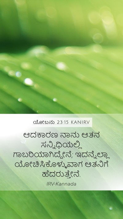ಯೋಬನು 23:15 KANIRV Bible Verse Image