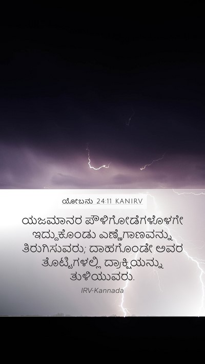 ಯೋಬನು 24:11 KANIRV Bible Verse Image