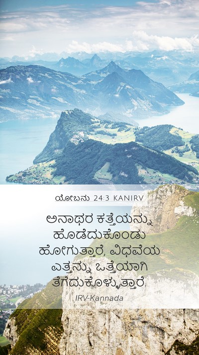 ಯೋಬನು 24:3 KANIRV Bible Verse Image
