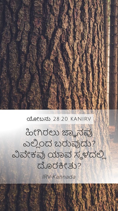 ಯೋಬನು 28:20 KANIRV Bible Verse Image