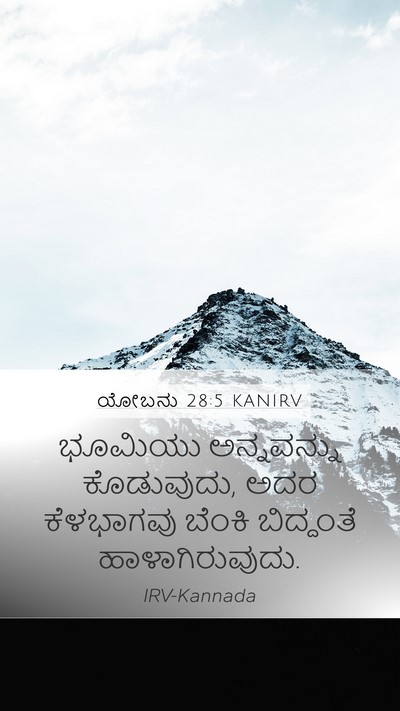 ಯೋಬನು 28:5 KANIRV Bible Verse Image