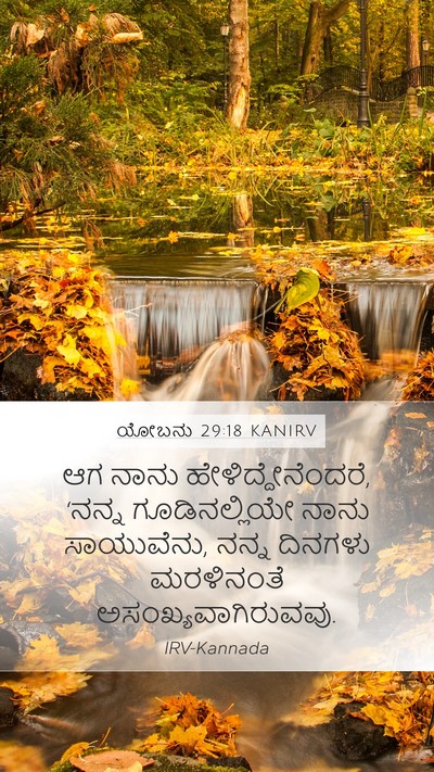 ಯೋಬನು 29:18 KANIRV Bible Verse Image