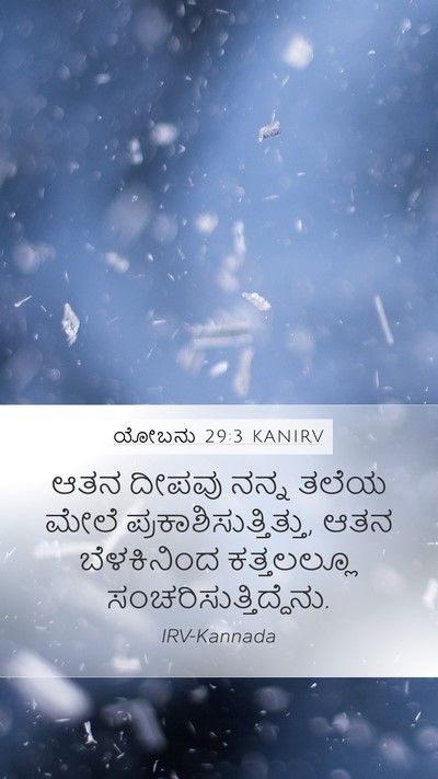 ಯೋಬನು 29:3 KANIRV Bible Verse Image