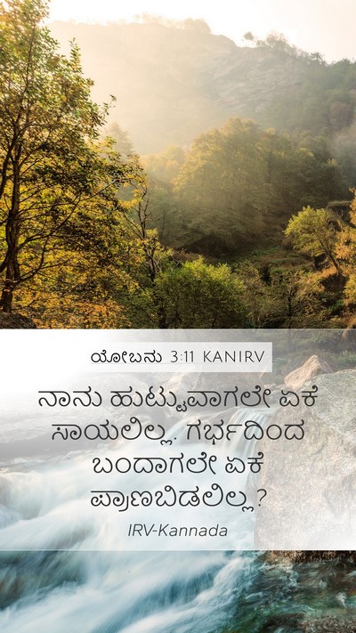 ಯೋಬನು 3:11 KANIRV Bible Verse Image