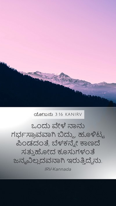 ಯೋಬನು 3:16 KANIRV Bible Verse Image