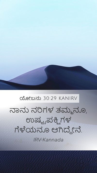 ಯೋಬನು 30:29 KANIRV Bible Verse Image