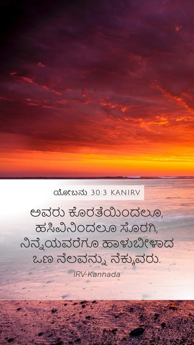ಯೋಬನು 30:3 KANIRV Bible Verse Image