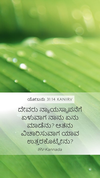 ಯೋಬನು 31:14 KANIRV Bible Verse Image
