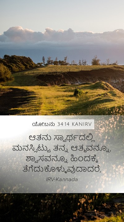 ಯೋಬನು 34:14 KANIRV Bible Verse Image