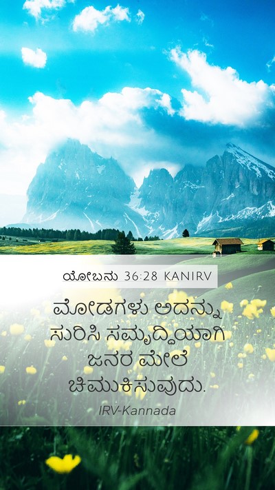 ಯೋಬನು 36:28 KANIRV Mobile Phone Wallpaper - ಮೋಡಗಳು ಅದನ್ನು - Mobile Bible Verse Wallpaper