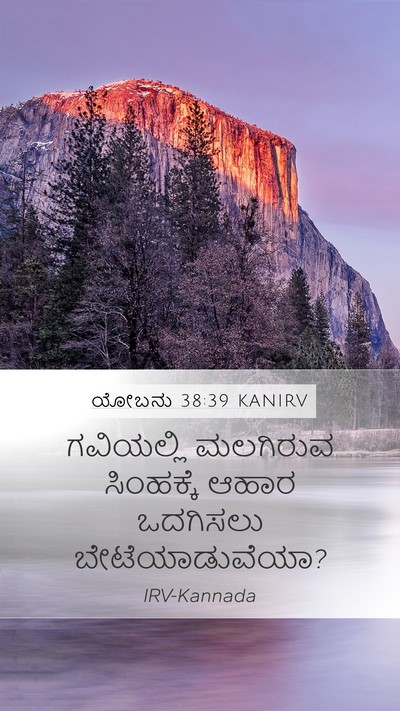 ಯೋಬನು 38:39 KANIRV Bible Verse Image
