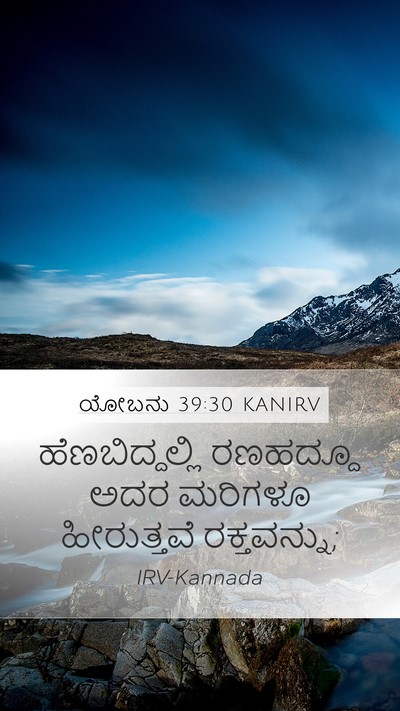 ಯೋಬನು 39:30 KANIRV Bible Verse Image