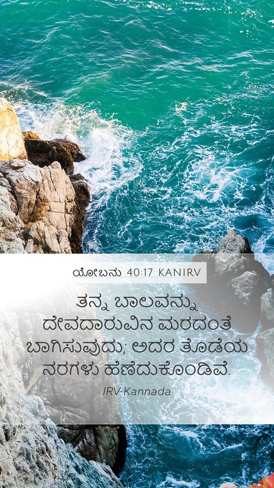 ಯೋಬನು 40:17 KANIRV Bible Verse Image