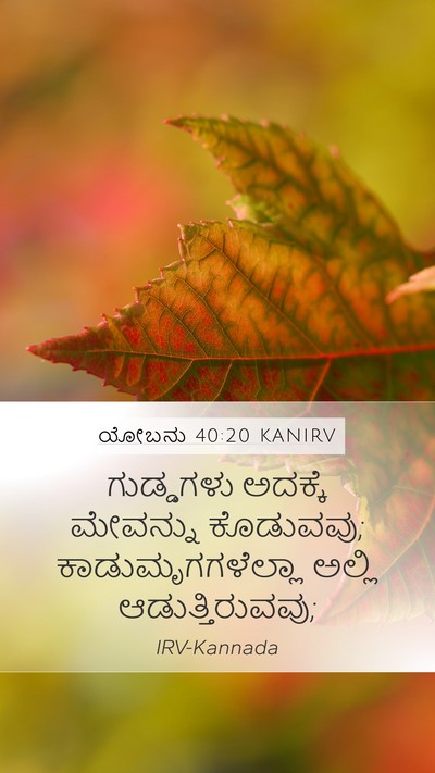 ಯೋಬನು 40:20 KANIRV Bible Verse Image