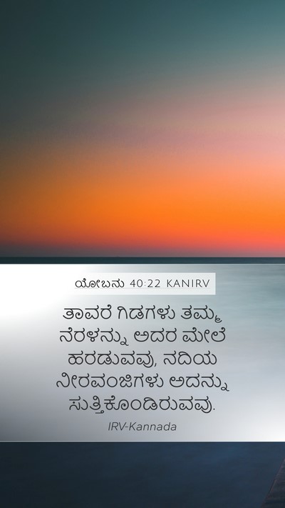 ಯೋಬನು 40:22 KANIRV Bible Verse Image