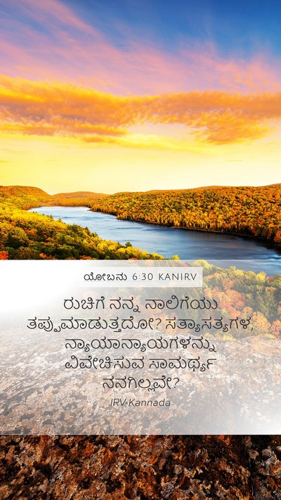 ಯೋಬನು 6:30 KANIRV Bible Verse Image