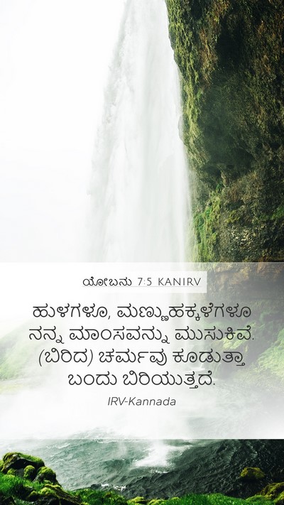 ಯೋಬನು 7:5 KANIRV Bible Verse Image