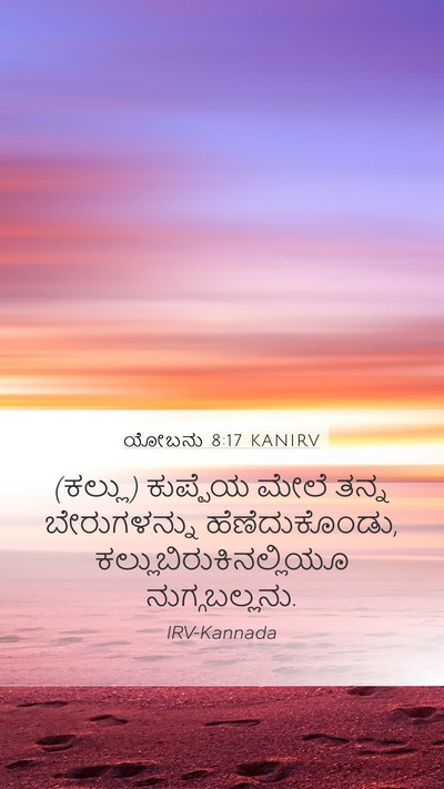 ಯೋಬನು 8:17 KANIRV Mobile Phone Wallpaper - (ಕಲ್ಲು) ಕುಪ್ಪೆಯ - Mobile Bible Verse Wallpaper