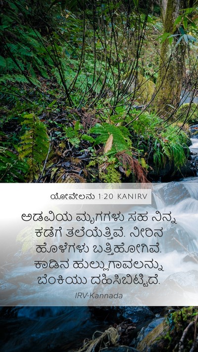 ಯೋವೇಲನು 1:20 KANIRV Bible Verse Image