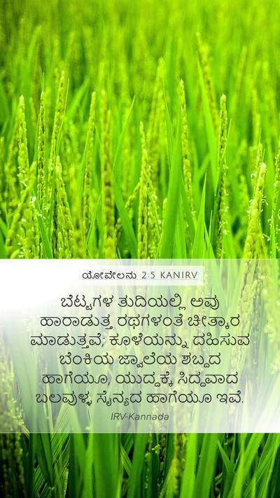 ಯೋವೇಲನು 2:5 KANIRV Bible Verse Image