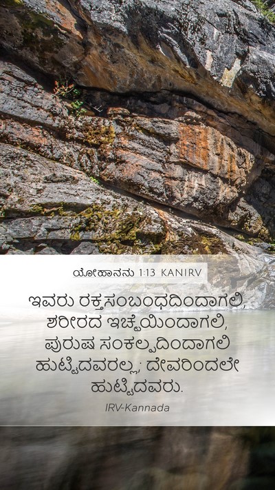 ಯೋಹಾನನು 1:13 KANIRV Bible Verse Image