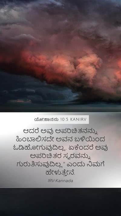ಯೋಹಾನನು 10:5 KANIRV Mobile Phone Wallpaper - ಆದರೆ ಅವು - Mobile Bible Verse Wallpaper