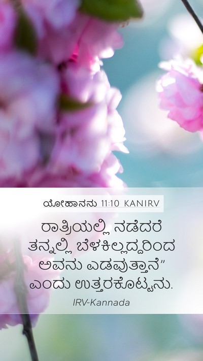 ಯೋಹಾನನು 11:10 KANIRV Bible Verse Image