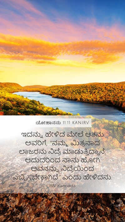 ಯೋಹಾನನು 11:11 KANIRV Bible Verse Image