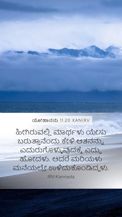ಯೋಹಾನನು 11:20 KANIRV Mobile Phone Wallpaper - ಹೀಗಿರುವಲ್ಲಿ - Mobile Bible Verse Wallpaper