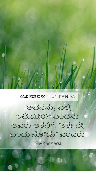ಯೋಹಾನನು 11:34 KANIRV Bible Verse Image