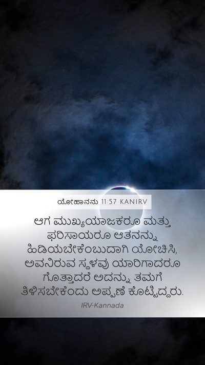 ಯೋಹಾನನು 11:57 KANIRV Bible Verse Image