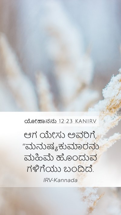 ಯೋಹಾನನು 12:23 KANIRV Bible Verse Image