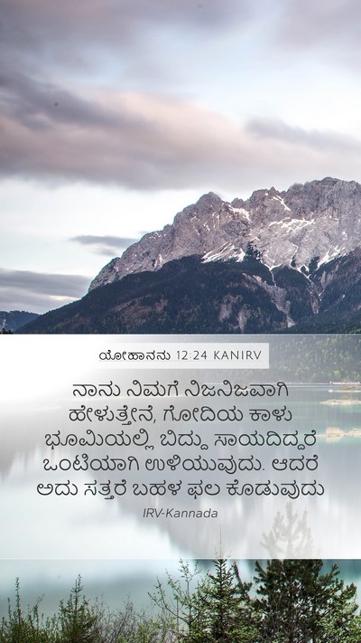 ಯೋಹಾನನು 12:24 KANIRV Bible Verse Image
