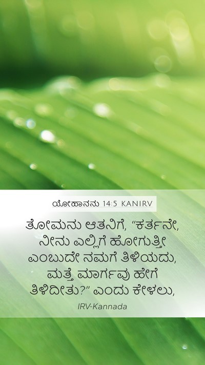 ಯೋಹಾನನು 14:5 KANIRV Bible Verse Image