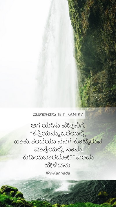 ಯೋಹಾನನು 18:11 KANIRV Bible Verse Image