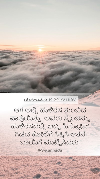 ಯೋಹಾನನು 19:29 KANIRV Bible Verse Image