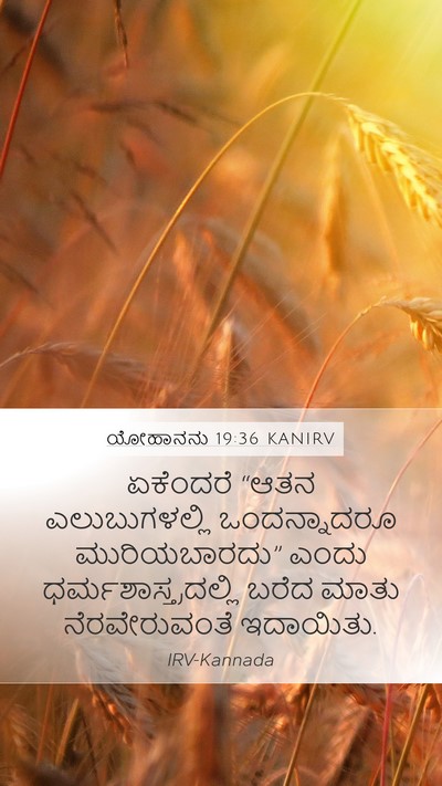 ಯೋಹಾನನು 19:36 KANIRV Bible Verse Image