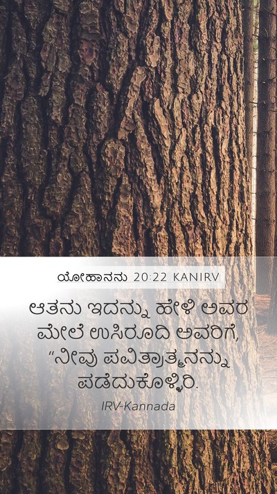 ಯೋಹಾನನು 20:22 KANIRV Bible Verse Image