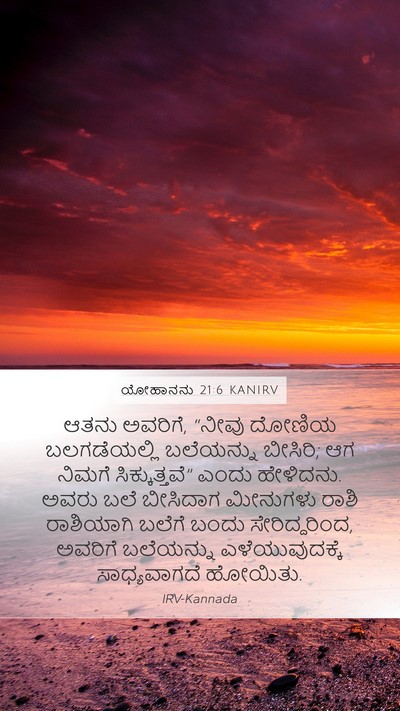 ಯೋಹಾನನು 21:6 KANIRV Bible Verse Image