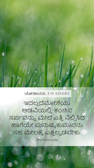 ಯೋಹಾನನು 3:14 KANIRV Bible Verse Image