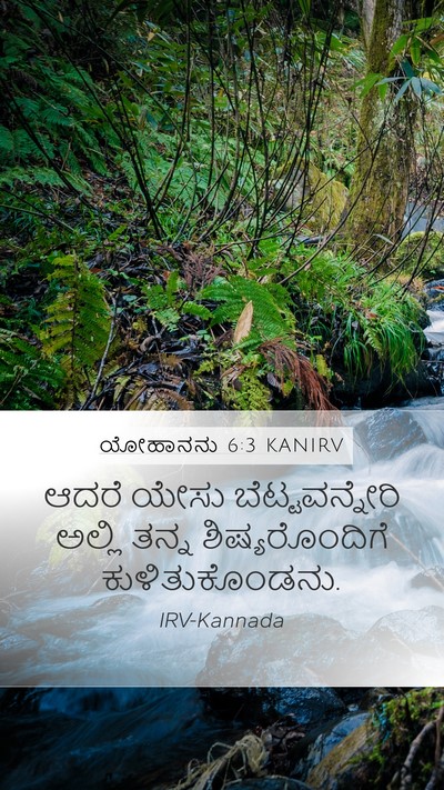 ಯೋಹಾನನು 6:3 KANIRV Mobile Phone Wallpaper - ಆದರೆ ಯೇಸು - Mobile Bible Verse Wallpaper