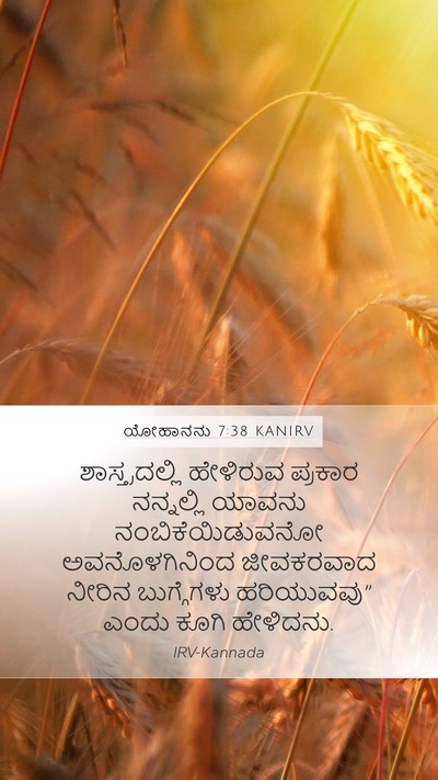 ಯೋಹಾನನು 7:38 KANIRV Bible Verse Image