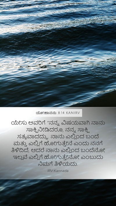 ಯೋಹಾನನು 8:14 KANIRV Bible Verse Image