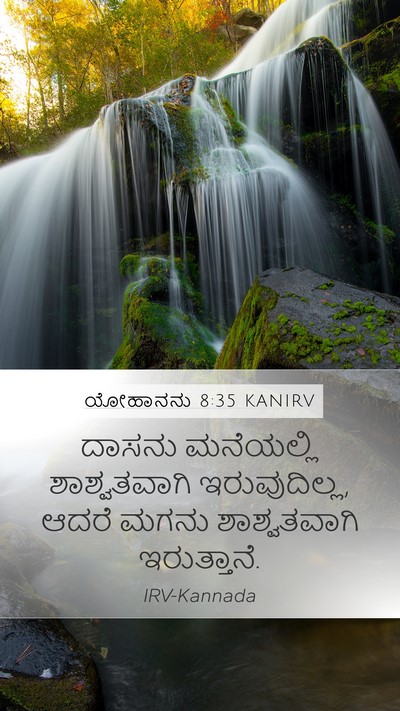 ಯೋಹಾನನು 8:35 KANIRV Bible Verse Image