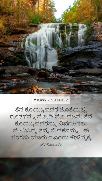ರೂತಳು 2:5 KANIRV Mobile Phone Wallpaper - ತೆನೆ ಕೊಯ್ಯುವವರ - Mobile Bible Verse Wallpaper