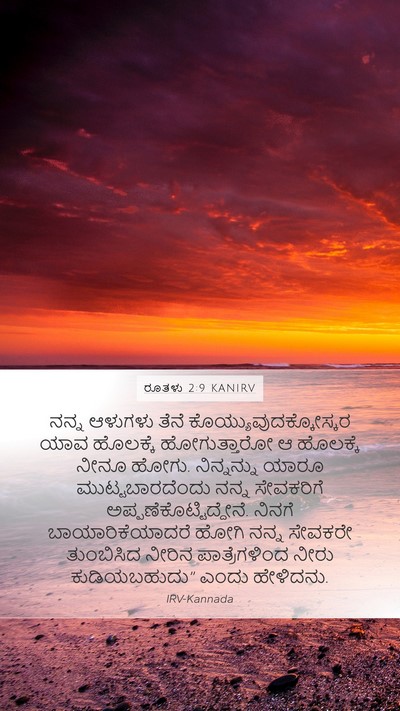 ರೂತಳು 2:9 KANIRV Mobile Phone Wallpaper - ನನ್ನ ಆಳುಗಳು ತೆನೆ - Mobile Bible Verse Wallpaper