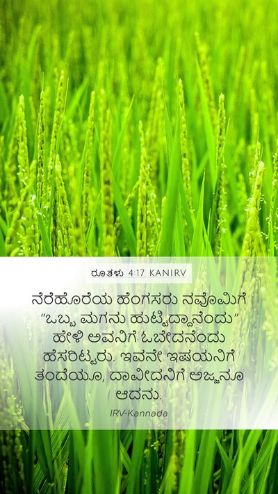 ರೂತಳು 4:17 KANIRV Bible Verse Image