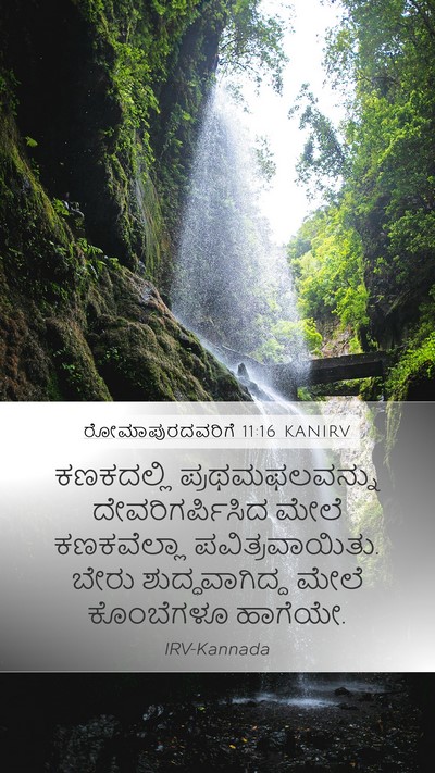 ರೋಮಾಪುರದವರಿಗೆ 11:16 KANIRV Bible Verse Image