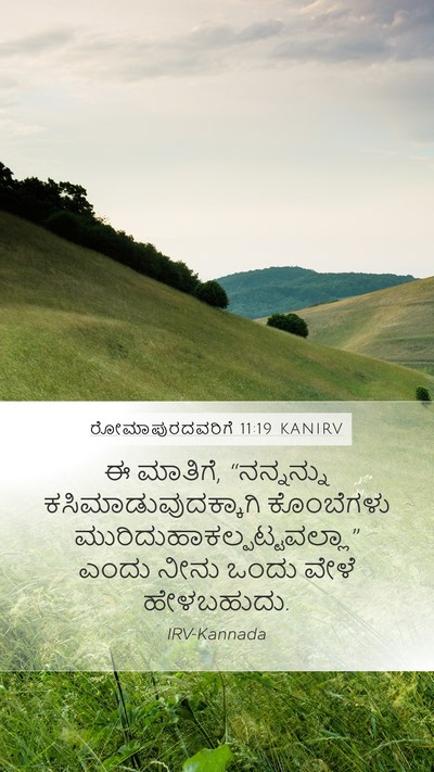 ರೋಮಾಪುರದವರಿಗೆ 11:19 KANIRV Bible Verse Image